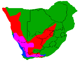 Карта Южной Африки с перекрывающимися ареалами литопса и конофитума